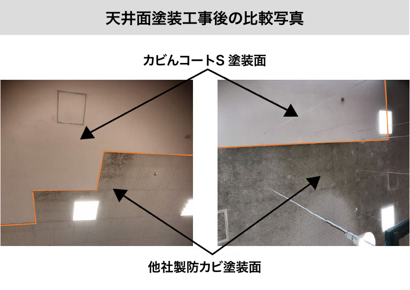 カビんコートS 天井面塗装工事後の比較写真